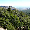 Oak-pine forest community.