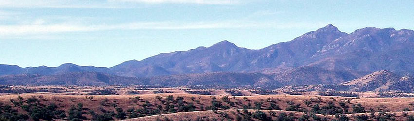 Canelo Hills.