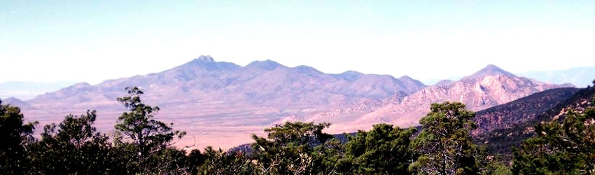 Chiricahua Mountains.