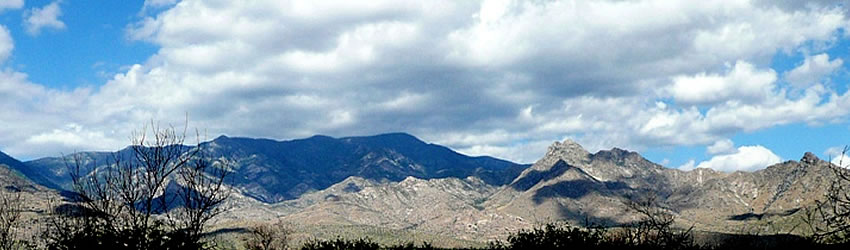 Pinaleno Mountains.