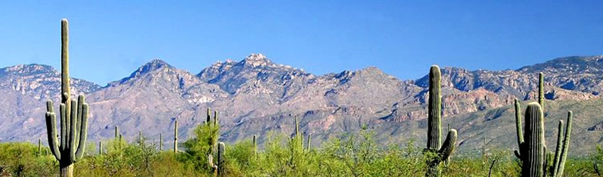 Santa Catalina Mountains.