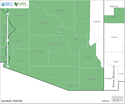 Map of Arizona. Counties are colored green where the species may be found.