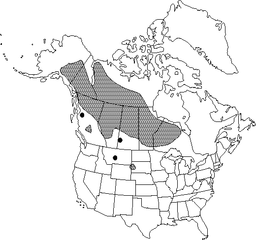Map of the range of Aquilegia brevistyla in North America.