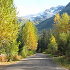 Forest Service image