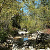 The Bear and Beaver Gulches Botanical Area located on the Northern Hills Ranger District of the Black Hills National Forest in southwestern South Dakota offers quiet visitors the best that autumn in the forest can offer a measure of tranquility. Photo by Jill Welborn.