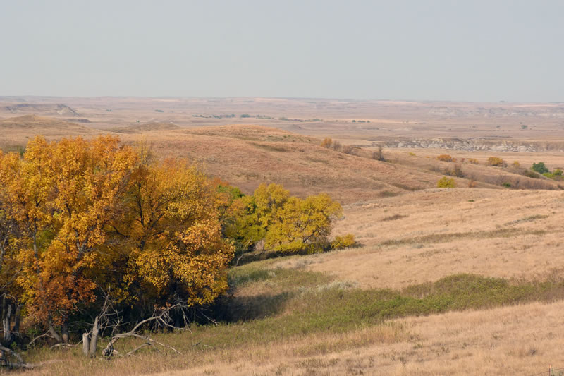 Cedar River Grasslands.