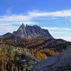 Forest Service image