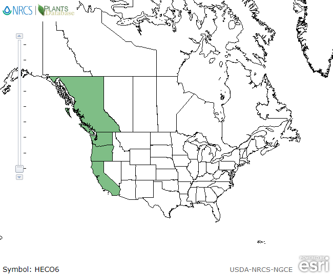 Map of North America showing green shaded areas where the species may be found.