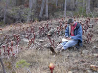 Dr. Erik Jules records a GPS reading in a burned Darlingtonia meadow.