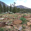 Mt. Eddy of the Klamath-Siskiyou Mountains