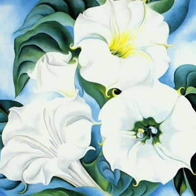 Georgia O'Keeffe painting of Datura flowers.