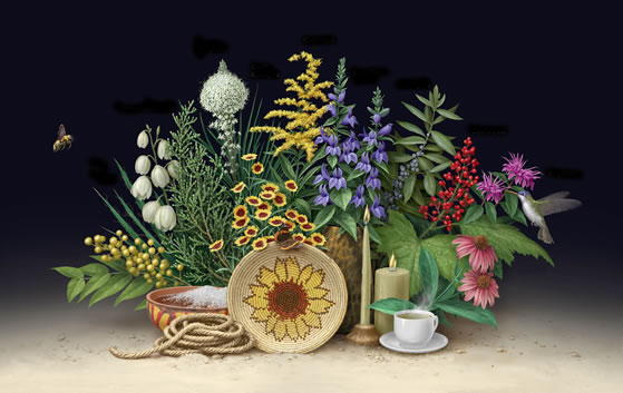 The Celebrating Wildflowers Ethnobotany poster displaying various plants and their products.