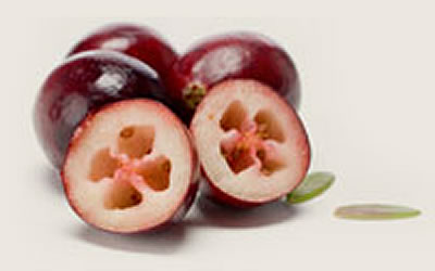 Cranberries cut open to show air pockets inside the fruit.