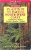 Publication's cover.