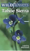 Publication's cover.