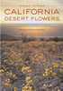Publication's cover.