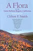 Publication's cover.