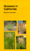 Publication's cover.