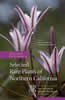 Publication's cover.
