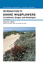 Publication's cover.