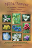 Publication's cover.