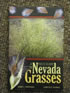 Publication's cover.