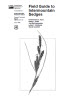 Publication's cover.