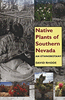 Publication's cover.
