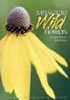 Publication's cover.