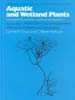 Publication's cover.