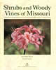 Publication's cover.