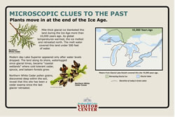 Thumbnail of Microscopic Clues to the Past interpretive panel.