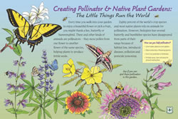 Thumbnail of Creating Pollinator & Native Plant Gardens interpretive panel.