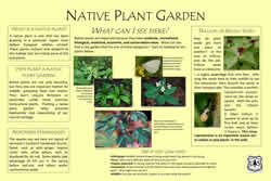 Thumbnail of interpretive panel.