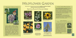 Thumbnail of interpretive panel.