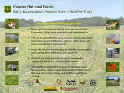 Thumbnail of interpretive panel.