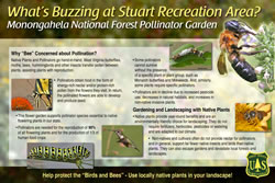Thumbnail of What's Buzzing at Stuart Recreation Area interpretive panel.