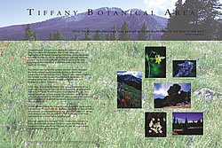 Thumbnail ofTiffany Botanical Area interpretive panel.
