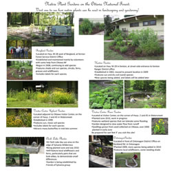 Thumbnail of Native Plant Gardens on the Ottawa National Forest interpretive panel.