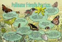 Thumbnail of Pollinator Friendly Practices interpretive panel.