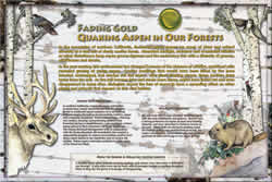 Thumbnail of Fading Gold interpretive panel.
