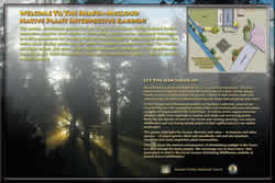 Thumbnail of Shasta-McCloud Native Plant Interpretive Garden interpretive panel.