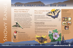 Thumbnail of Snowy Range Tiny Creatures… Big Jobs interpretive panel.