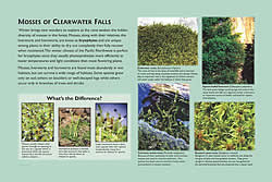 Thumbnail of interpretive panel.