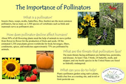 Thumbnail of interpretive panel.