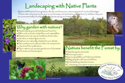 Thumbnail of interpretive panel.