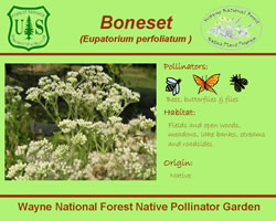 Thumbnail of interpretive panel.