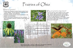 Thumbnail of interpretive panel.