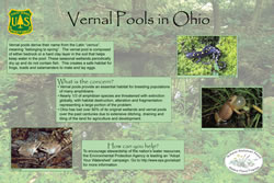 Thumbnail of interpretive panel.