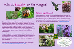 Thumbnail of interpretive panel.